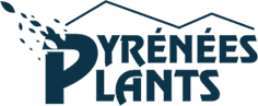 Pyrénées Plants
